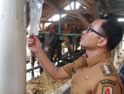 Jelang Idul Adha, Pemerintah Kabupaten Cirebon Amankan Jumlah Stok Hewan Kurban